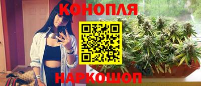 гашик Кандалакша