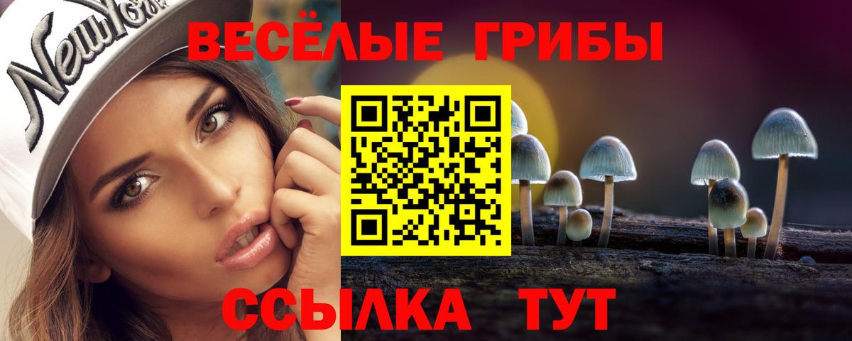 Звенигород  Псилоцибиновые грибы мухоморы  Галлюциногенные грибы GOLDEN TEACHER  Вход с VPN 